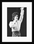 Prince Pop Star by Mike Maloney