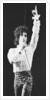 Prince Pop Star by Mike Maloney