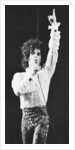 Prince Pop Star by Mike Maloney