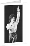 Prince Pop Star by Mike Maloney