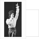 Prince Pop Star by Mike Maloney