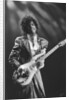 Prince Pop Star by Mike Maloney