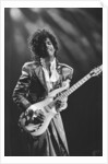 Prince Pop Star by Mike Maloney
