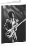 Prince Pop Star by Mike Maloney