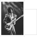 Prince Pop Star by Mike Maloney