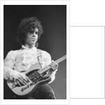 Prince Pop Star by Mike Maloney