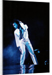 Prince Pop Star by Roger Allen