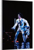 Prince Pop Star by Roger Allen