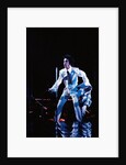 Prince Pop Star by Roger Allen