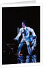 Prince Pop Star by Roger Allen
