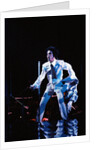 Prince Pop Star by Roger Allen