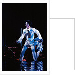 Prince Pop Star by Roger Allen