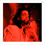 Prince Pop Star by Reid