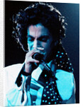 Prince Pop Star by Roger Allen