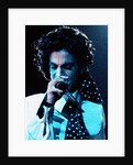 Prince Pop Star by Roger Allen