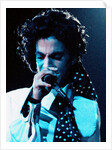 Prince Pop Star by Roger Allen