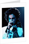 Prince Pop Star by Roger Allen