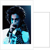 Prince Pop Star by Roger Allen