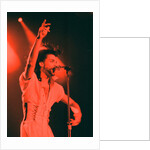 Prince Pop Star by Reid