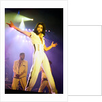 Prince Pop Star by Reid