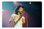 Prince Pop Star by Reid