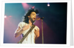 Prince Pop Star by Reid