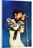 Prince Pop Star by Chris Grieve