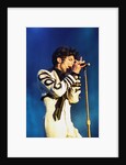 Prince Pop Star by Chris Grieve