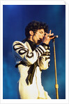 Prince Pop Star by Chris Grieve