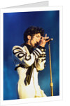 Prince Pop Star by Chris Grieve