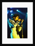 Prince Pop Star by Chris Grieve