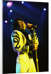 Prince Pop Star by Chris Grieve