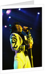 Prince Pop Star by Chris Grieve