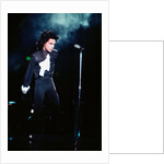 Prince Pop Star by Russell Bass