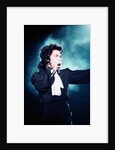 Prince Pop Star by Russell Bass