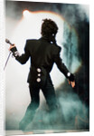 Prince Pop Star by Staff