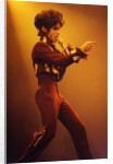 Prince Pop Star by Richard Nelmes