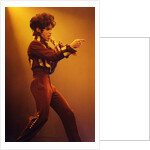 Prince Pop Star by Richard Nelmes