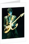 Prince Pop Star by Richard Nelmes