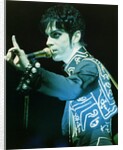 Prince Pop Star by Richard Nelmes