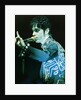 Prince Pop Star by Richard Nelmes