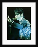 Prince Pop Star by Richard Nelmes
