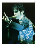 Prince Pop Star by Richard Nelmes