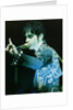 Prince Pop Star by Richard Nelmes