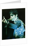 Prince Pop Star by Richard Nelmes