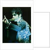 Prince Pop Star by Richard Nelmes