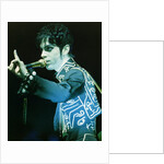 Prince Pop Star by Richard Nelmes