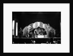 The Rolling Stones by Ray Weaver