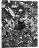 Young girl surrounded by hungry pigeons by Anonymous