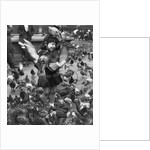 Young girl surrounded by hungry pigeons by Anonymous